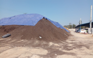 Tumpukan limbah sawit milik PT CPI di Kabupaten Bima yang digunakan untuk bahan bakar proses produksi pengeringan jagung.