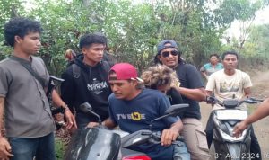 Pelaku Penganiayaan di Nggembe Bima saat Ditangkap Polisi Pelaku Penganiayaan di Nggembe Bima saat Ditangkap Polisi