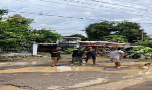 Warga saat tanam pohon pisang di jalan menuju Kantor Kecamatan Bolo