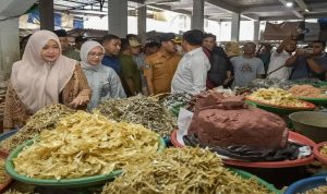 IMG-20250310-WA0050(1)_copy_800x400