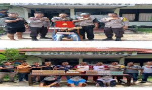 IMG_20251214_164518_copy_800x400